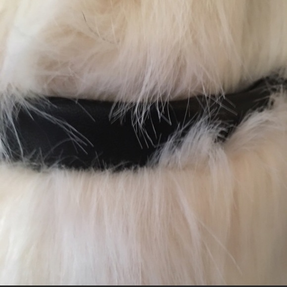 Boutique - Picture 5 of 8